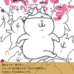 にゃっちーず 単行本